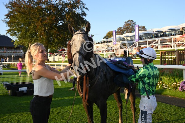 yr08102021r7-41 - Race 7 5.25pm The IRE Incentive, It Pays To Buy Irish Handicap