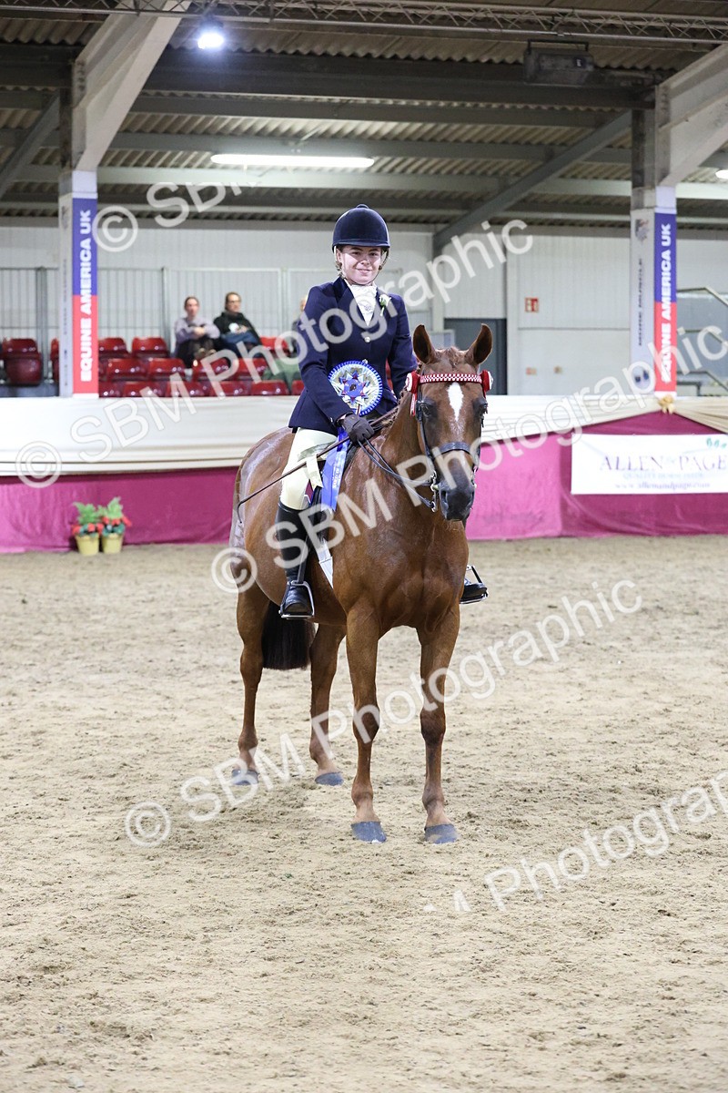 SBM_20939 - Class M - Equitation Champ