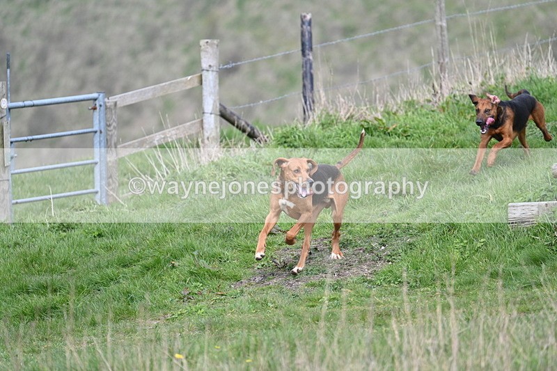 WJ7_8031 - Line 2 A camera