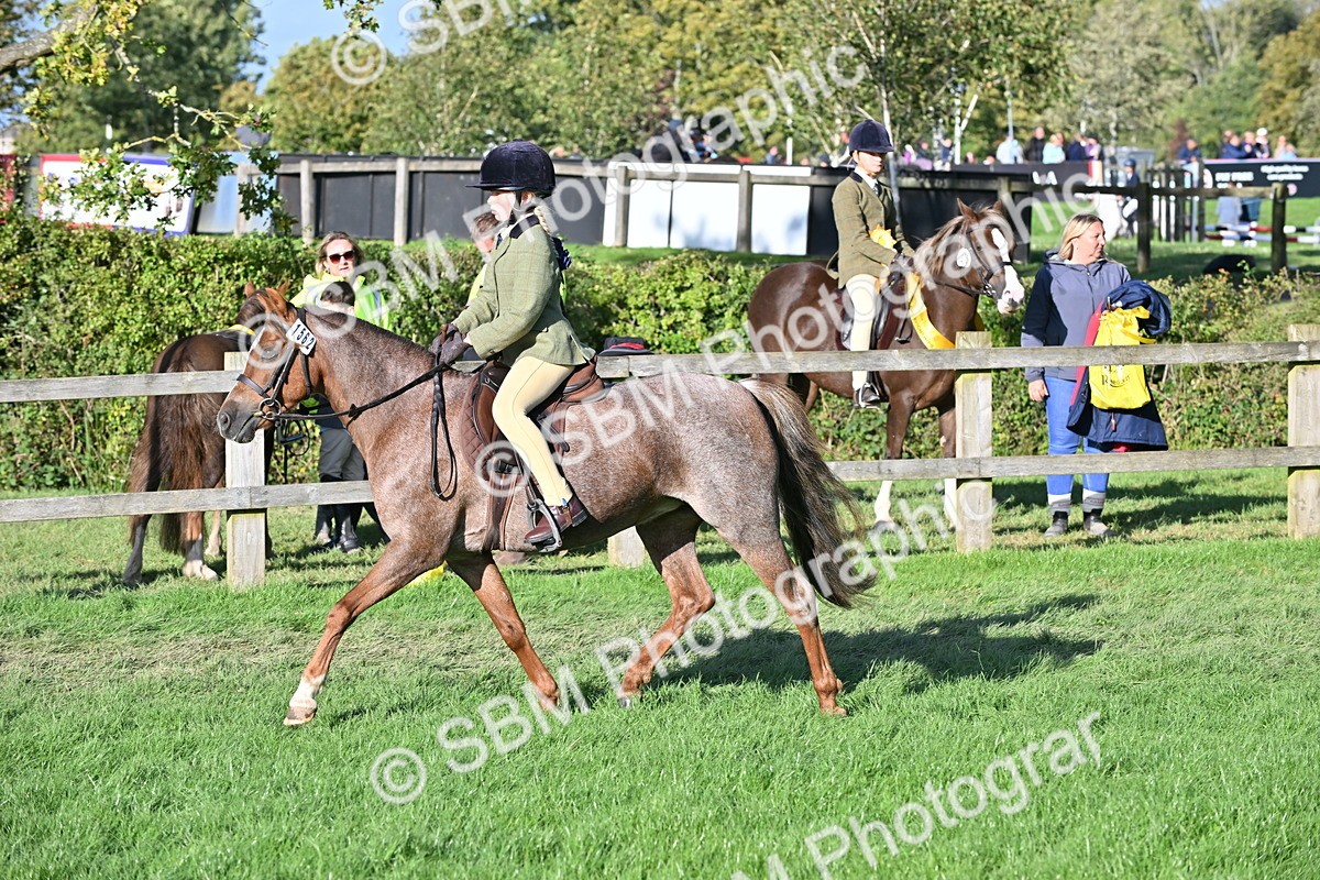 SBM_53004 - S23 - First Ridden Mountain & Moorland Pony