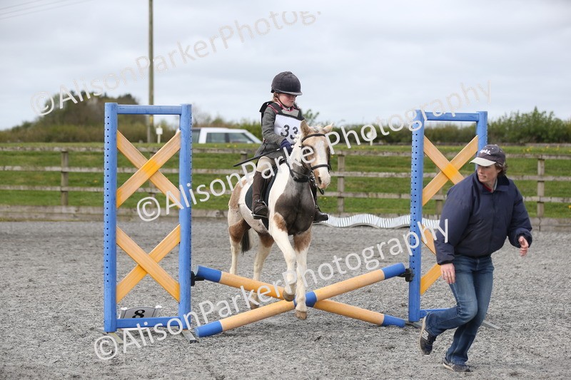 20260412-0155 - Show Jumping