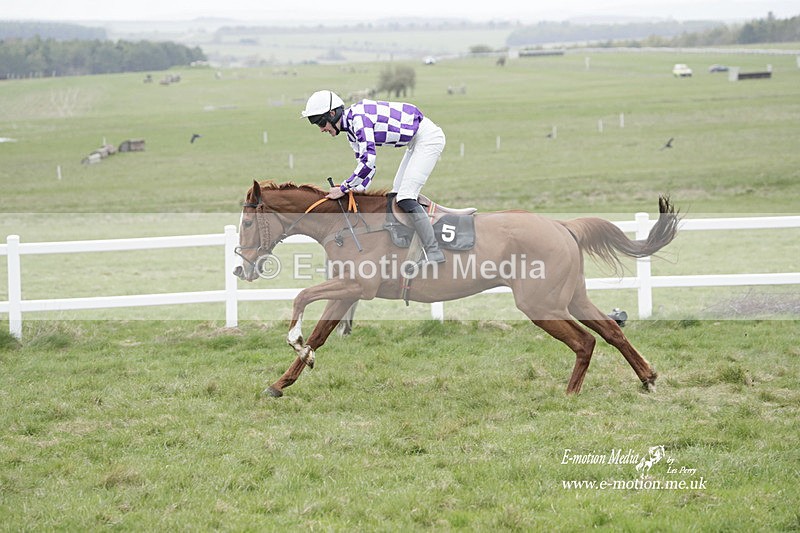 PtP 260323 0937 - New Forest Hounds Point-to-Point Larkhill 26/03/23