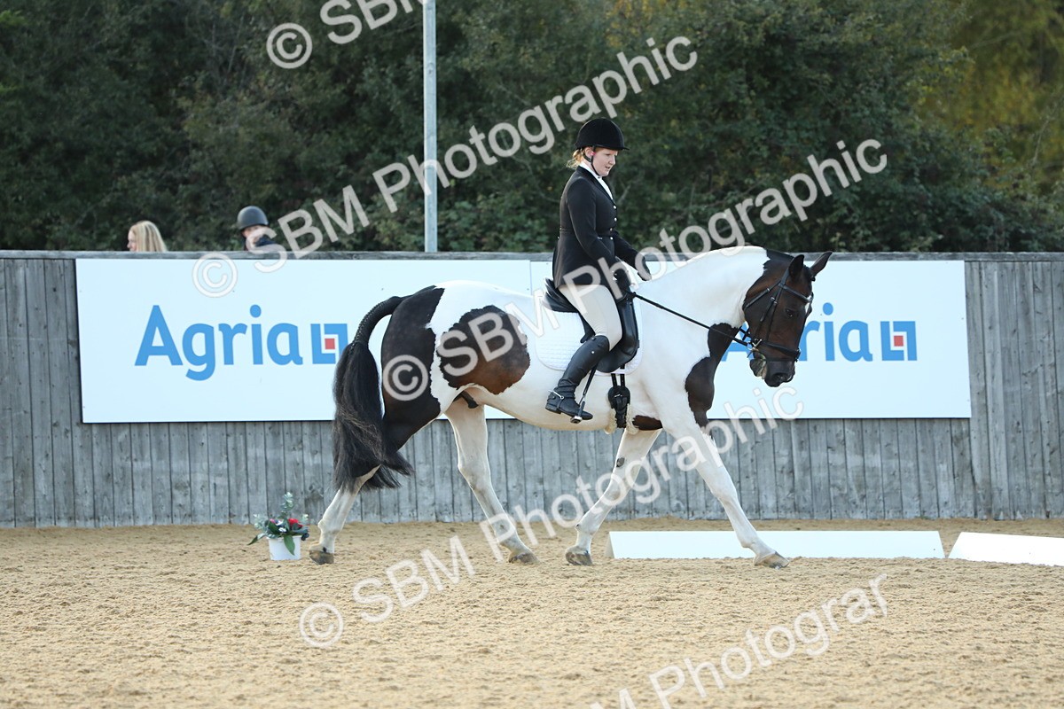 SBM_30623 - D20 - Grand Tour Championship - Elementary 44