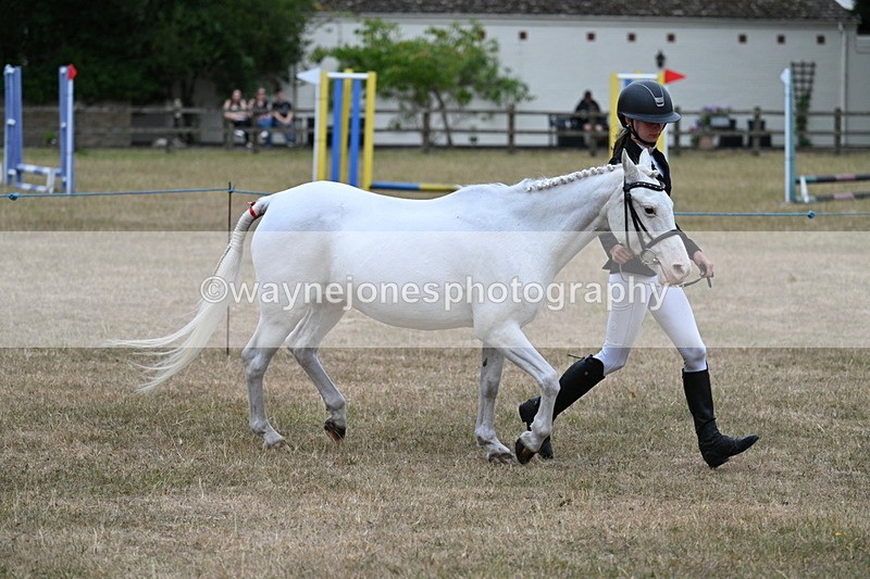 WJ7_8310 - Class 4 Prettiest Mare up to 14.2hh