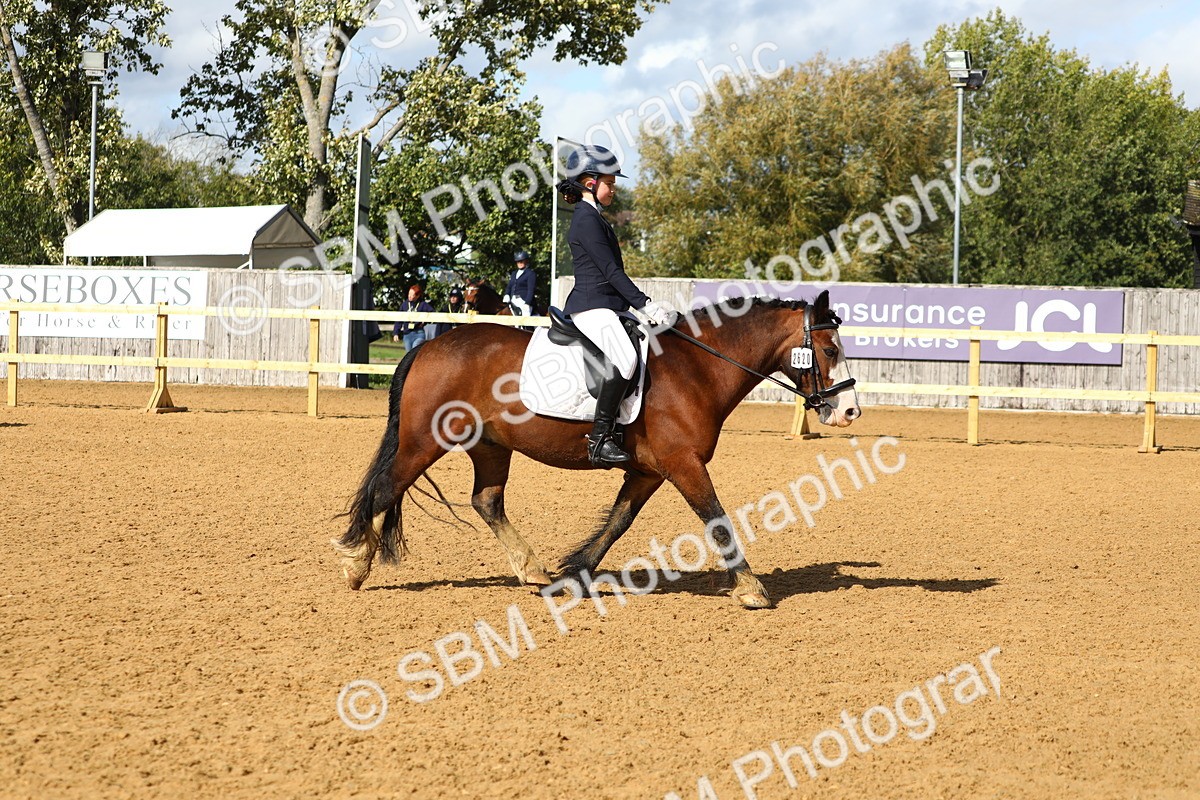 SBM_49112 - D23 - Junior Championship Prelim 1