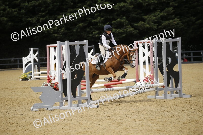 20250622-4641 - 50cm