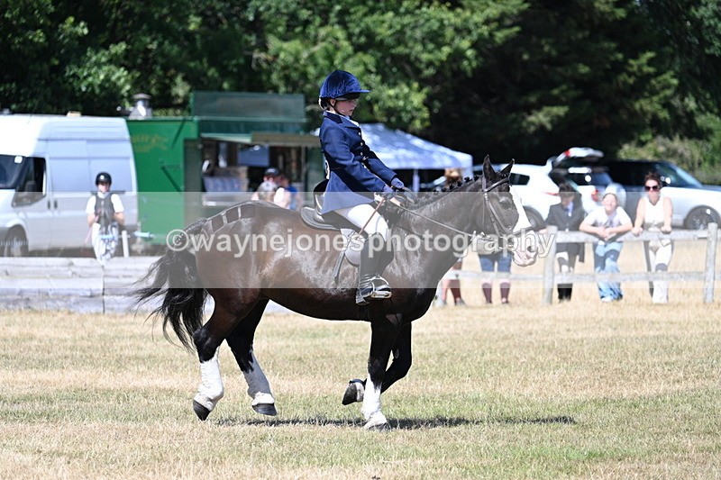 WJ7_3725 - Class 8 Ridden Veterans