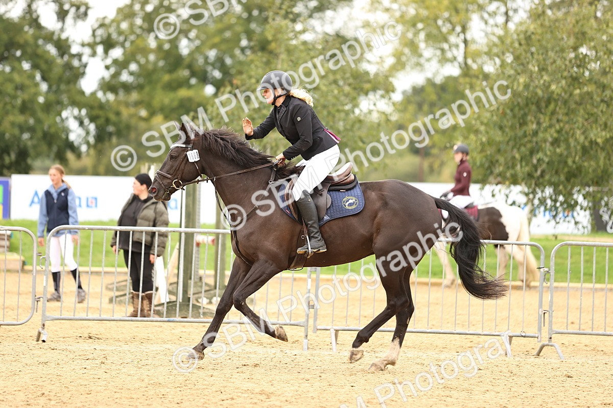 SBM_62871 - Supreme Championship 95cm 1.00m