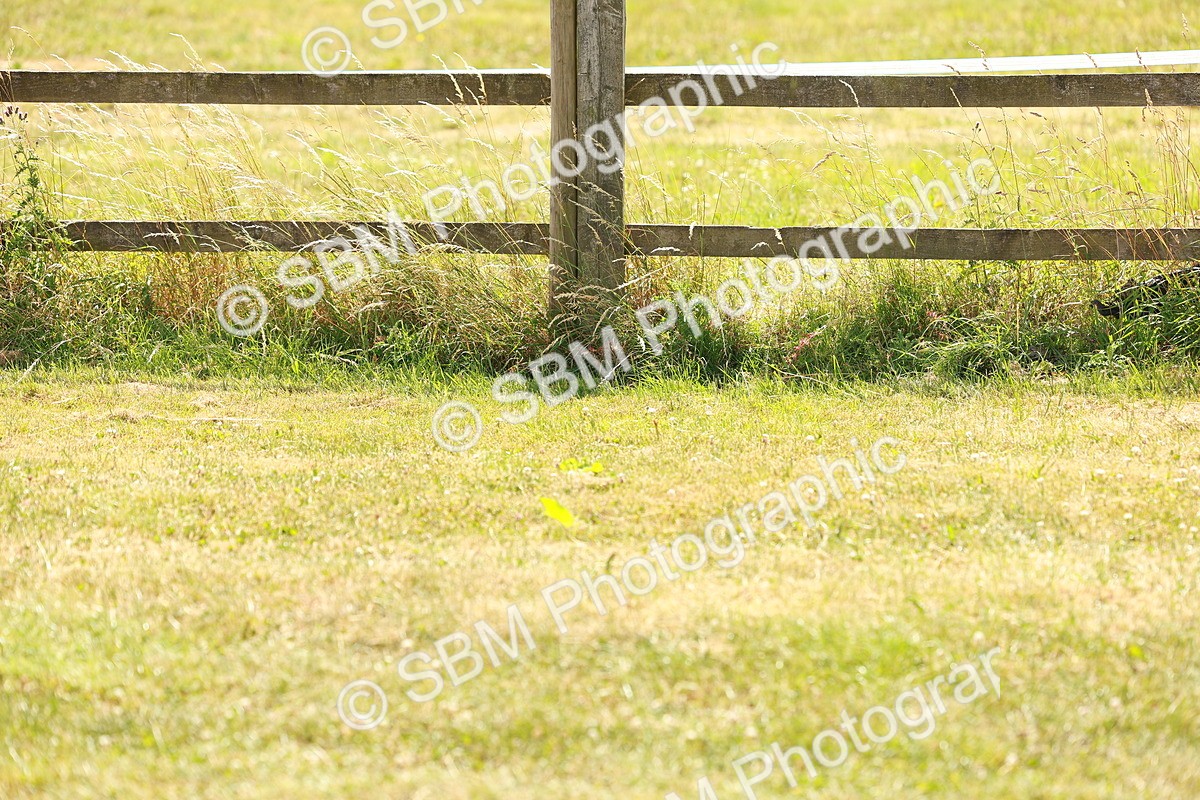 SBM_002926 - Class 14-15 - GFS Senior Newcomers - 1.10m - Senior 1.15m Open