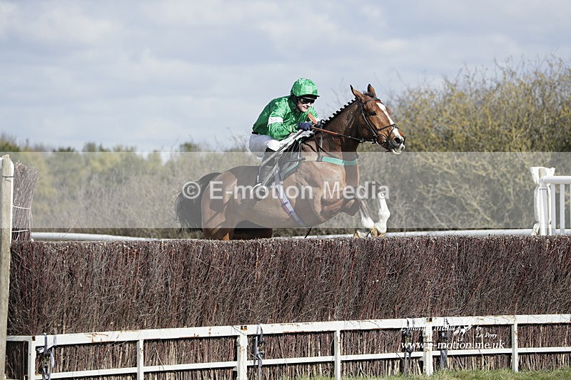 PtP 260223 296 - South & West Wilts Point-to-Point Larkhill 26/02/23