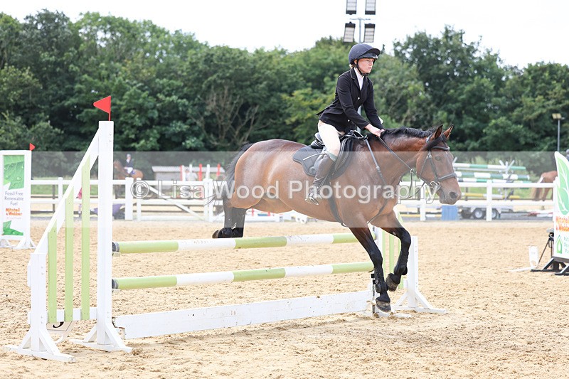 3E7A0040 - Class 9: Senior British Novice/90cm open