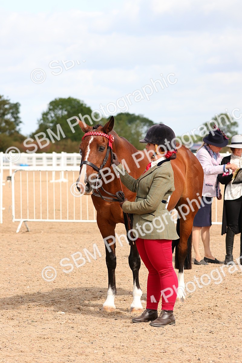 SBM_11753 - Class 208 - IH Veteran Horse