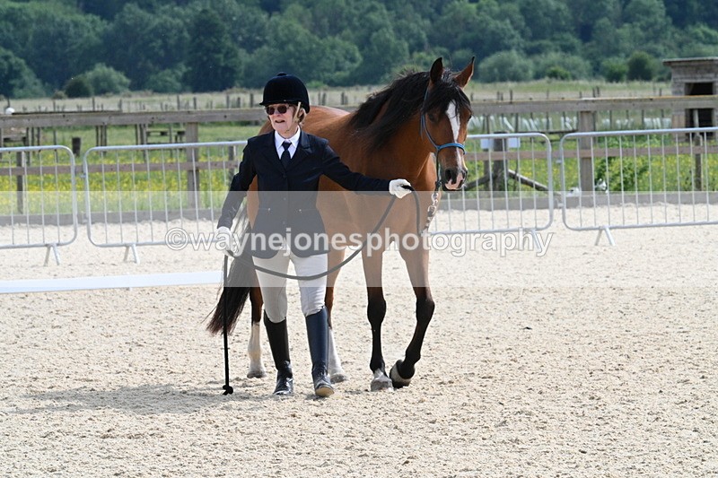 WJ7_8209 - Time 16:10 to 16:25