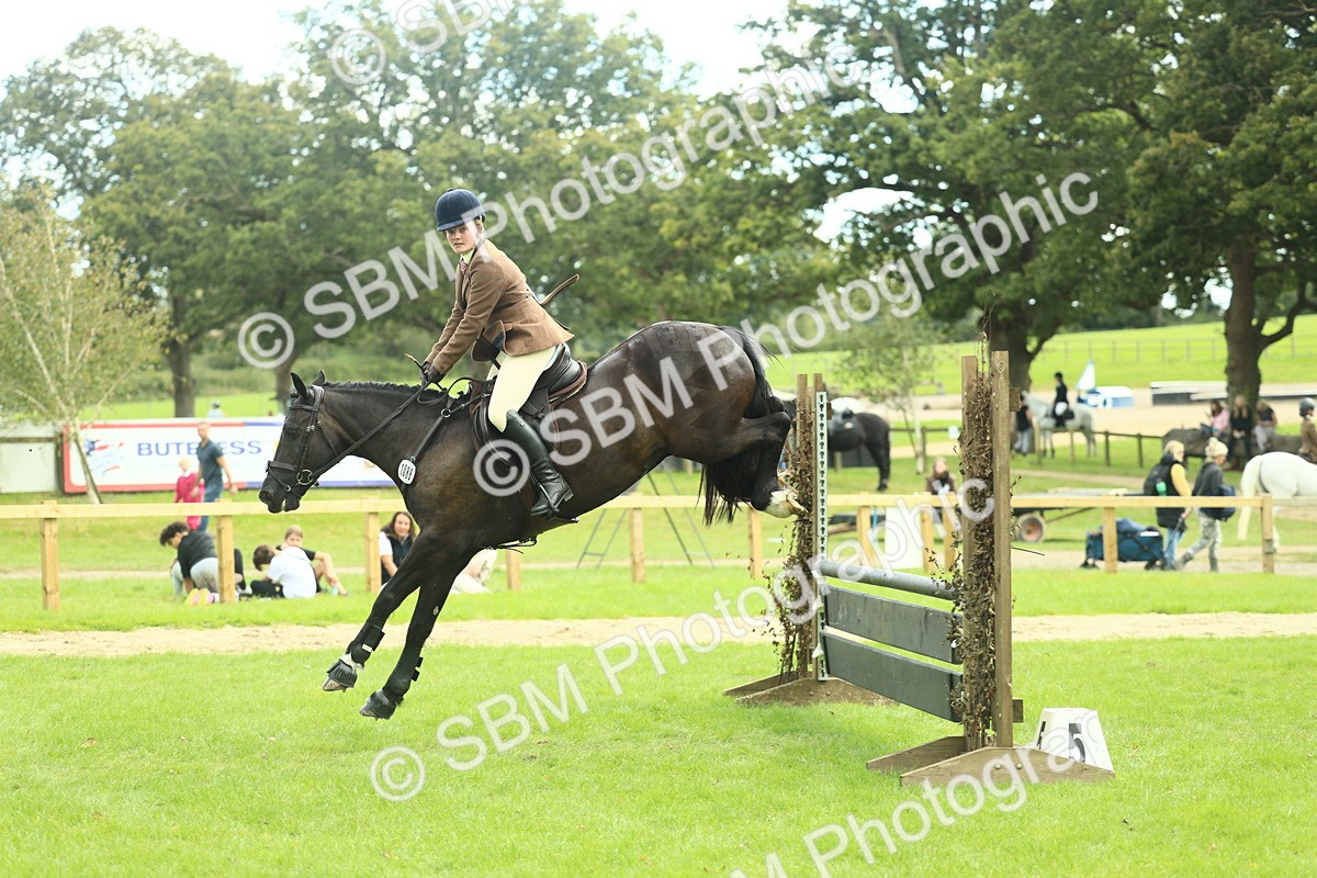 SBM_44775 - S31 - Working Hunter Pony