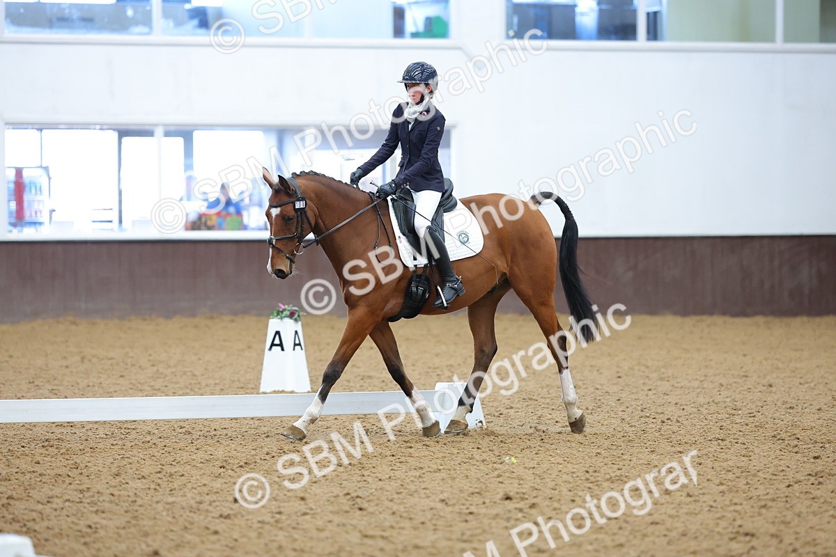 SBM_003046 - Novice