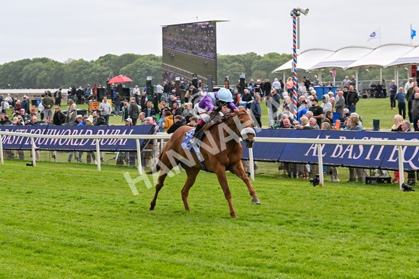 150525-See The Fire-4462 - Race 3 3.13pm Al Basti Equiworld Dubai Middleton Fillies' Stakes