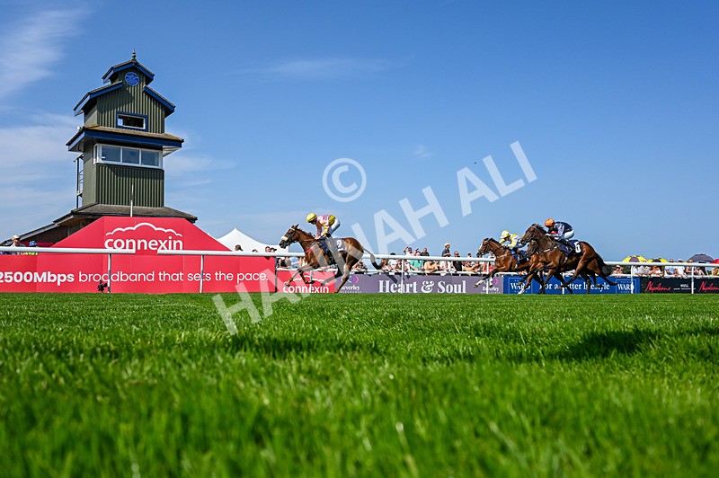 130826-Race 3-State Of Gold-5284 - Race 3 15.15pm Hornsea Ladies At The Races Nursery Handicap