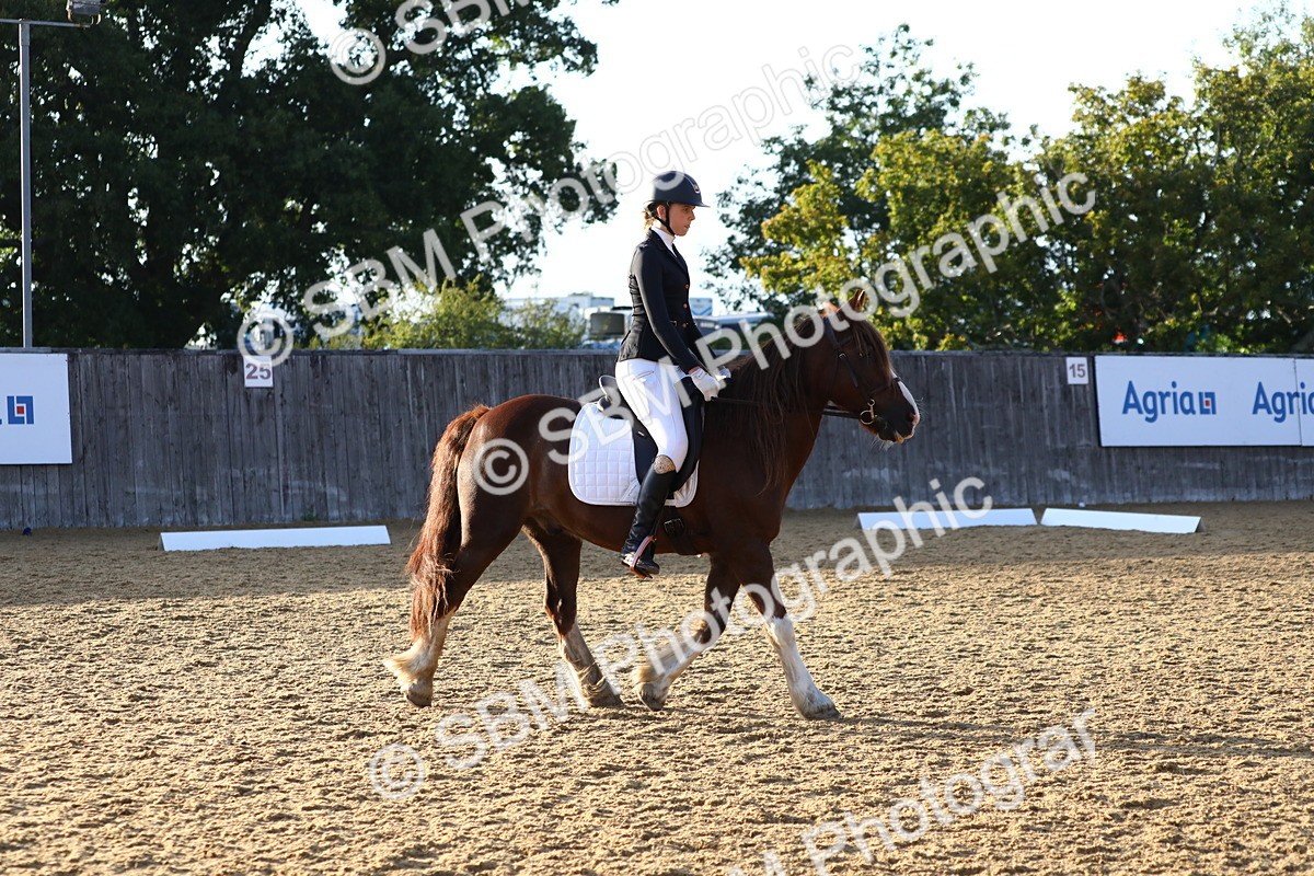 SBM_31718 - D11 - Small Tour Championship Prelim 1