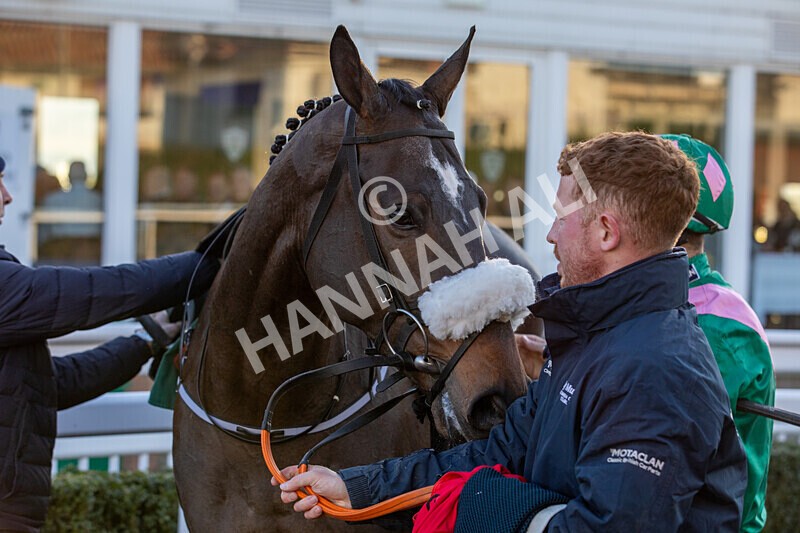 221124-Race 5-Kilbarry Hill-8599 - Race 5