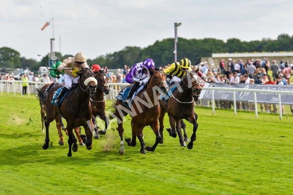 170523-Race 5-Dark Thirty-8878 - Race 5 4.10pm Conundrum HR Consulting Handicap