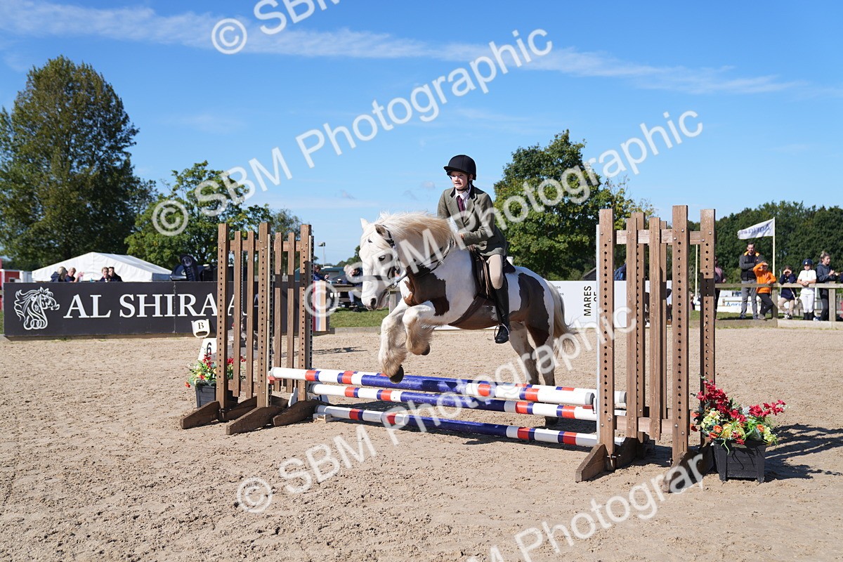 SBM_19380 - J57 - Clear Round 50cm