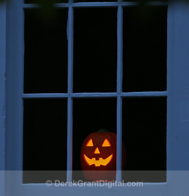 Room with a View - Autumn Festival
