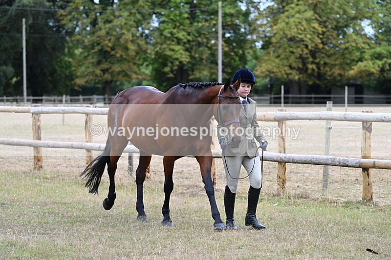 WJ7_8961 - Class 4a Prettiest Mare 14.2hh and over