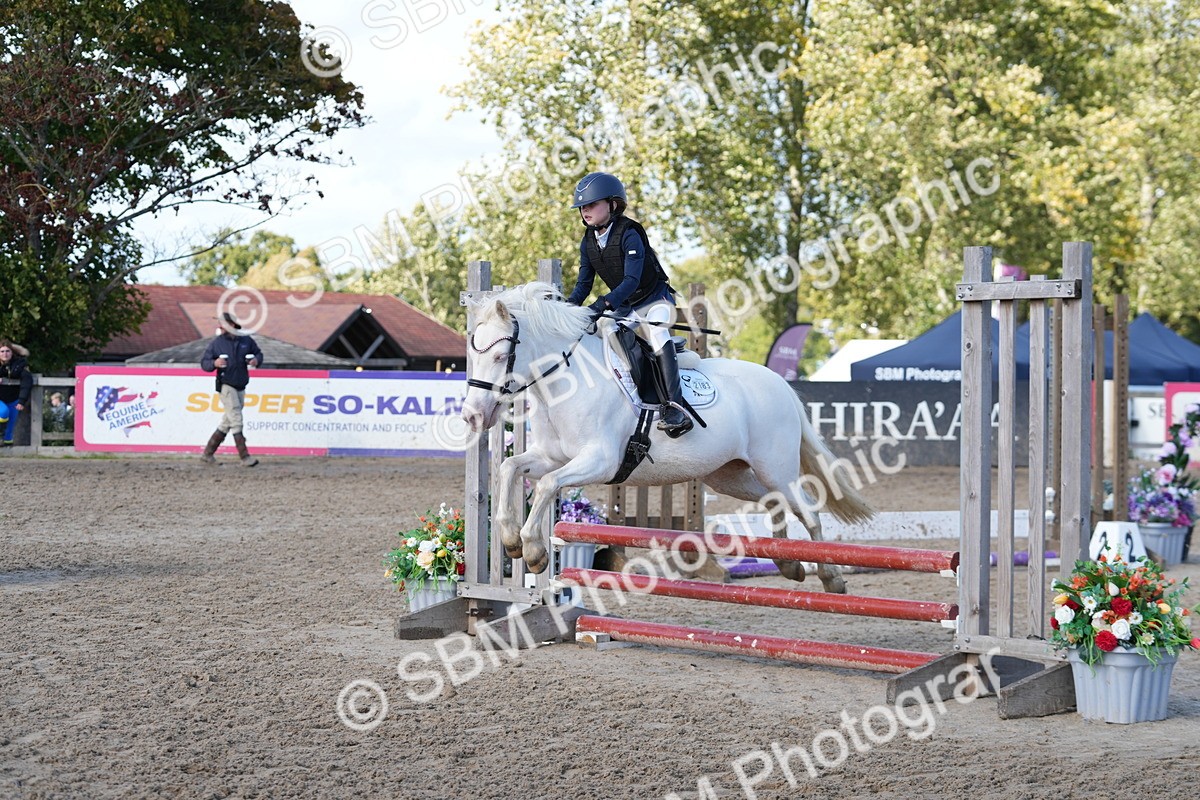 SBM_46558 - J7 - Junior Pony 60cm Championship