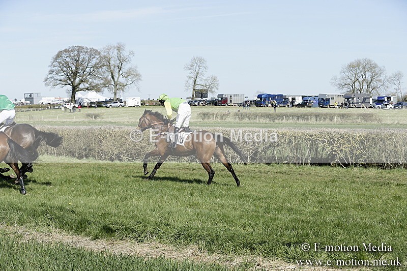 PtP 250317 27 - V.W.H. Hunt Point-to-Point Siddington 25/03/17