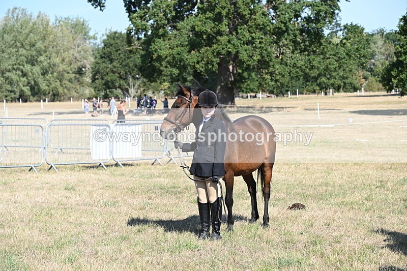 WJ6_7604 - Class 34 Judges Choice