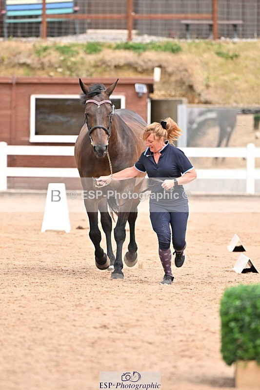 250716-153649-02045 - Trot Up 3.30 to 4.30