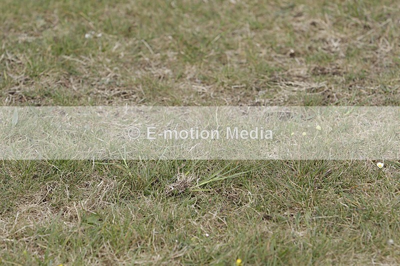 BVHT 140517 I-673 - Class 1 SJ Intermediate 14/05/17