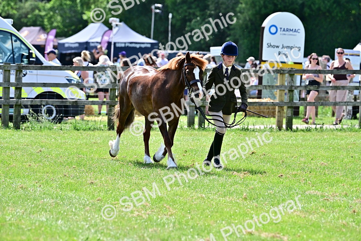 SBM_03876 - Class 58 - TSR  Ridden Veteran Amateur of the year