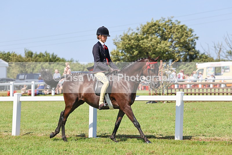 IMG_1977 - Class 33: Show Pony 148cm and under