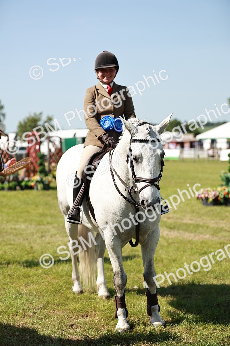 SBM_18549 - Class 112-113 - BSPS LIHS Working Sports Pony