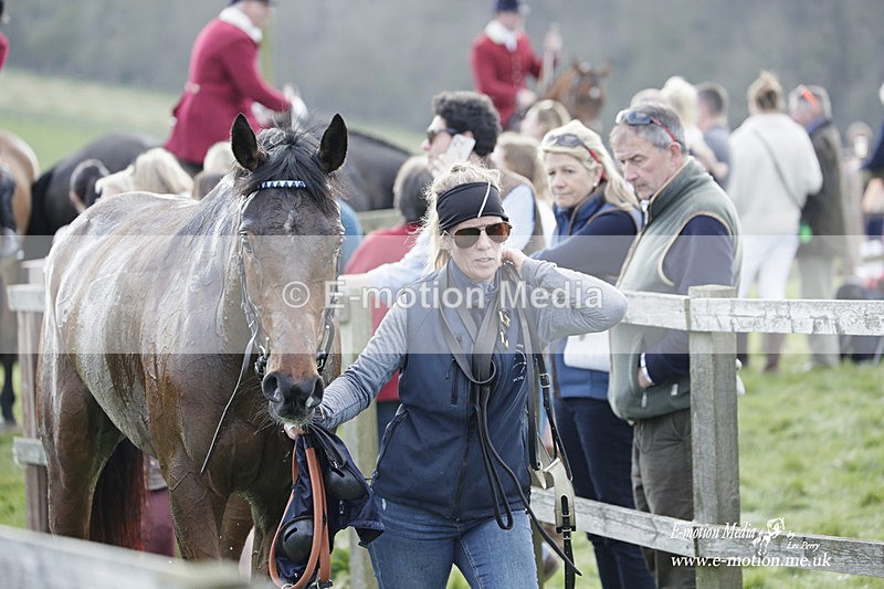 PtP 080423 437 - Dingley Races The Woodland Pytchley Hunt PtP 08/04/23