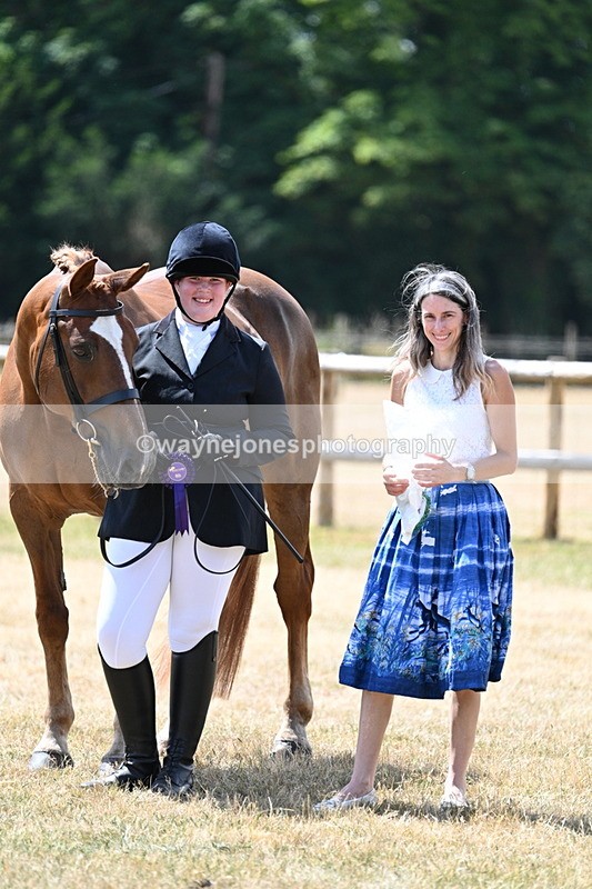 WJ7_2062 - Class 4a Prettiest Mare 14.2hh and over hand