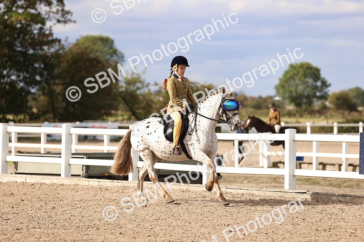 SBM_18025 - Class 422 - Equitation (Best Rider) Jnr
