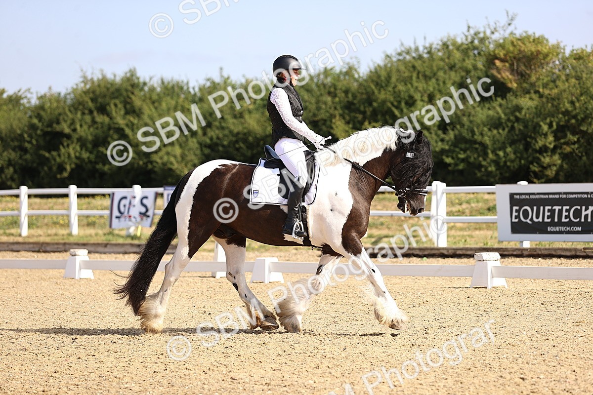 SBM_008629