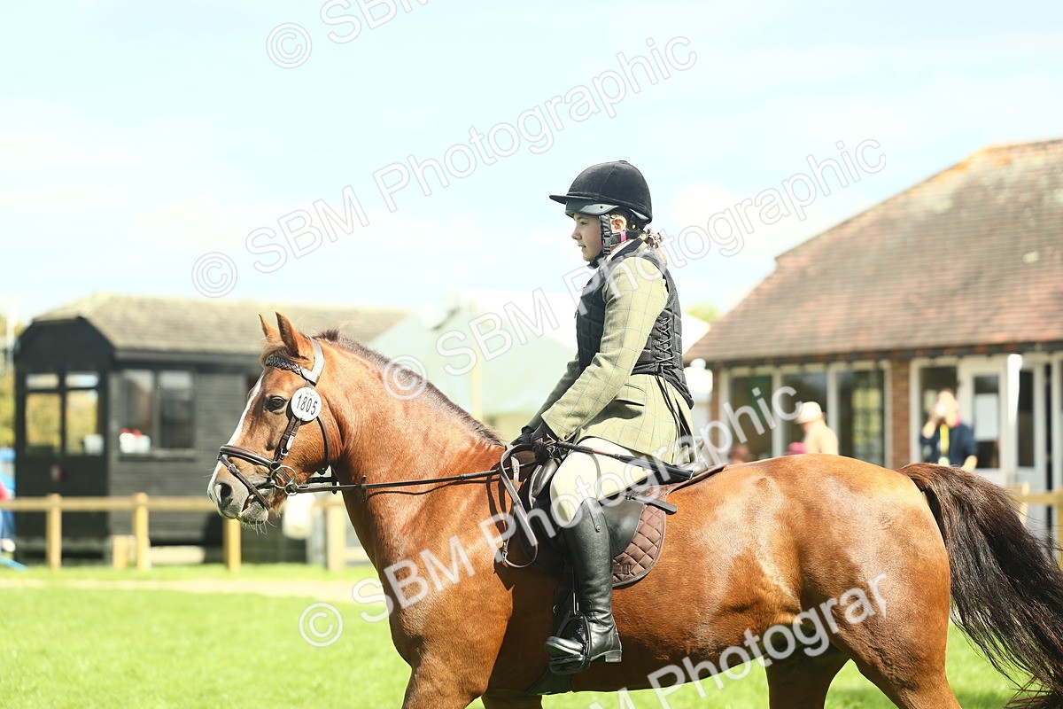 SBM_42883 - S30 - M&M Working hunter Pony