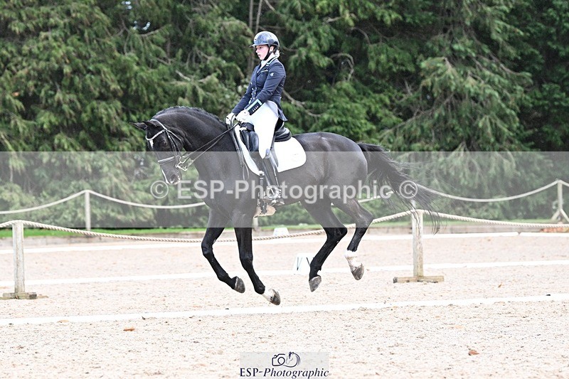 231110-144343-02008 - Cls 8 Medium 75Q