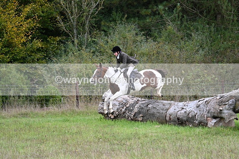 WJ7_3718 - Camera 1 Line 1