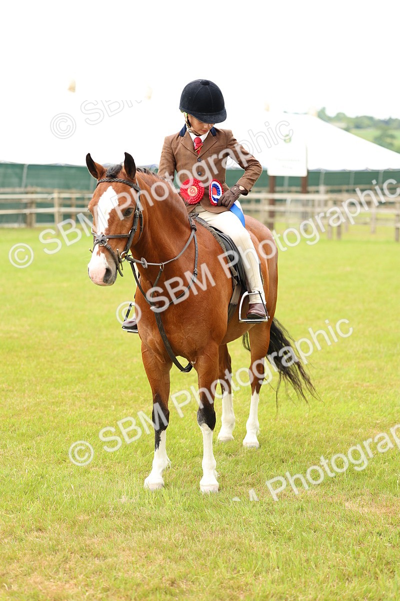 SBM_10426 - Class 44-45 - LIHS BSPS Open Nursery and Cradle Stakes