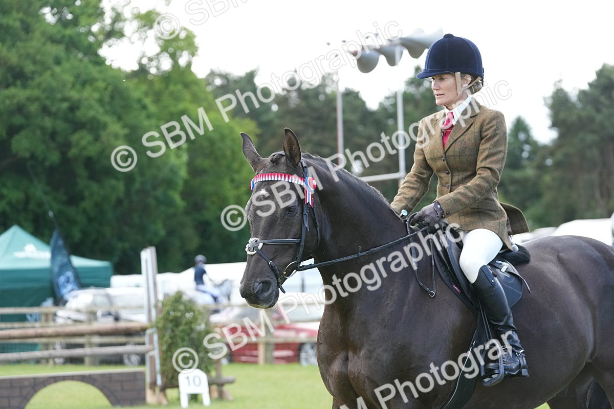SBM_12960 - Class 99 - RIHS SEIB Working Show Horse