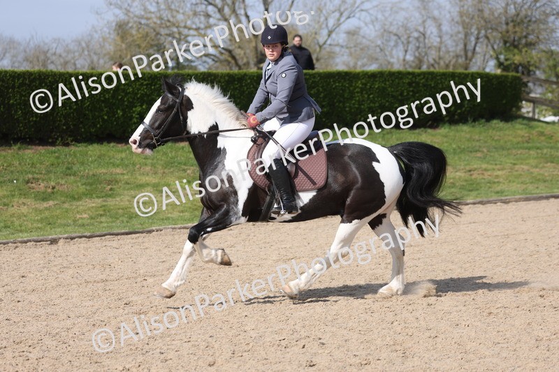 20260322-0650 - Class 3 - 80cm