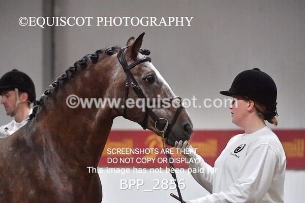 BPP_2856 - LOOSE JUMPING / SPSS