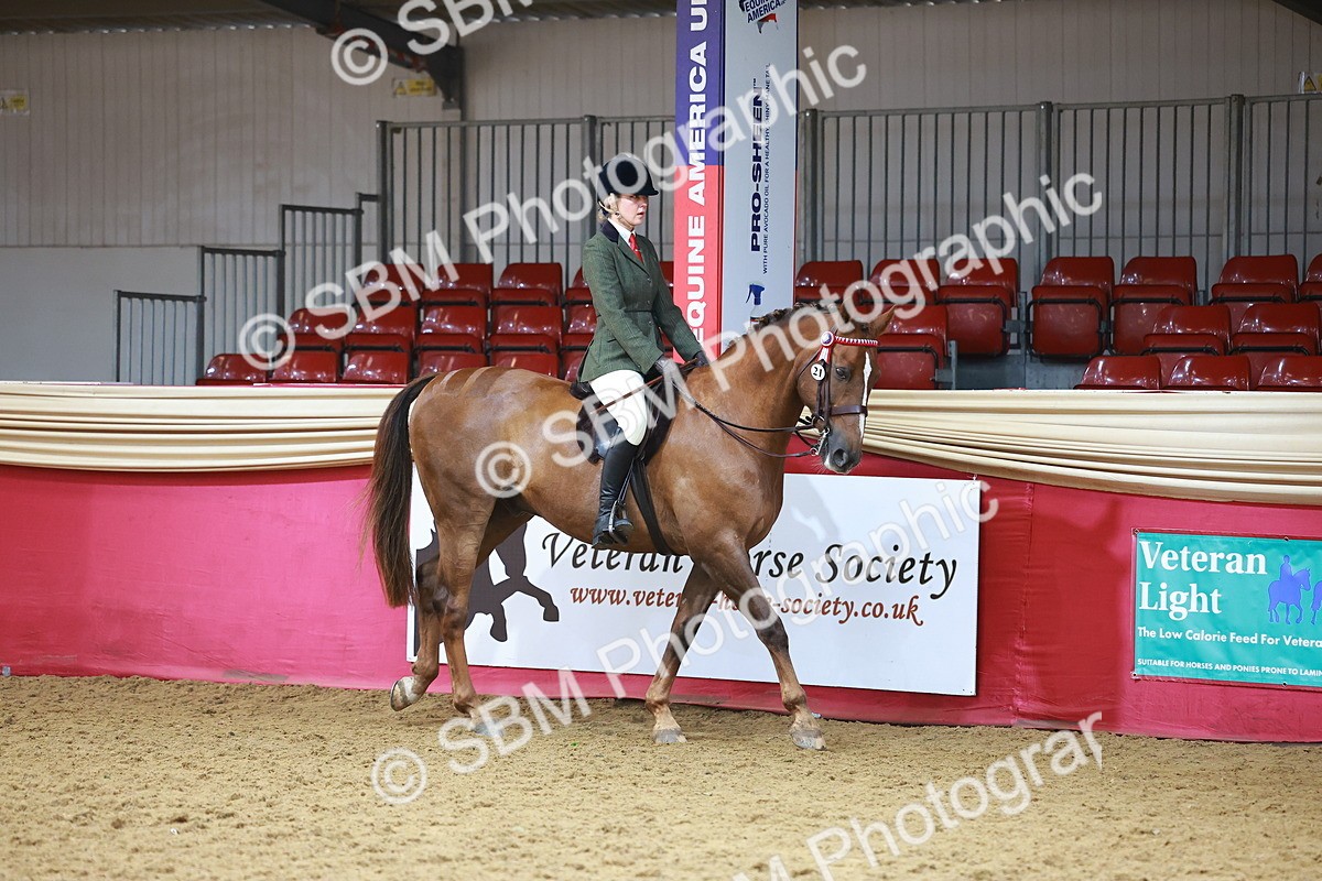 SBM_09579 - Class 102 - HOYS Veteran Qualifier - Ridden Veteran