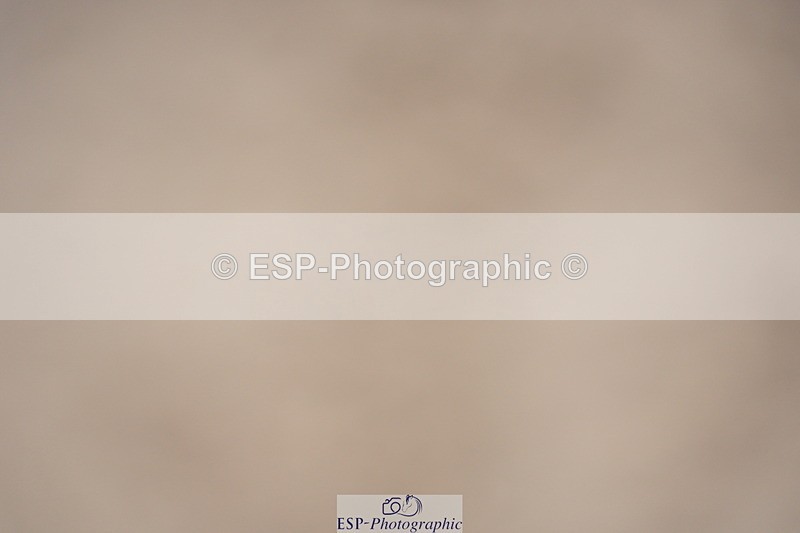 230924A-115448-04667 - 100 SJ 11.00 to 12.00