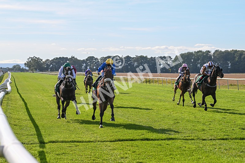 160924-Race 5-King Of The Jungle-2969 - Race 5