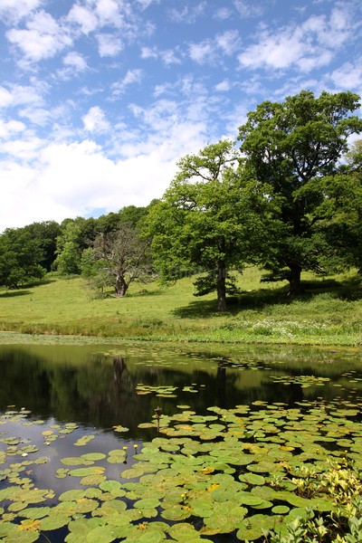 Stourhead _ WILT023 - Wiltshire landscape Photography